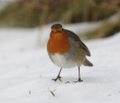 Christmas_87