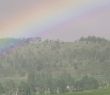 Farming_73