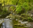 Ireland_71 Foley's Bridge in Tollymore Forest Park, Northern Ireland