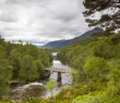 Scotland_86 Glen Affric, Highlands