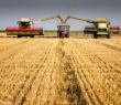 Farming_80