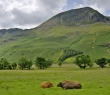 Farming_95