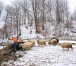 Farming_97