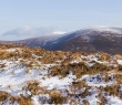 Ireland_86 Snow in the Paps of Anu, County Kerry, Ireland