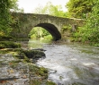 Ireland_88 Creek of Clare Glens, Limerick, Ireland
