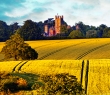England_165G View across linseed and wheat fields towards Highclere Castle, Berkshire