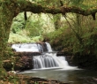 Ireland_34 Cascades of Clare Glens, Ireland