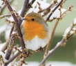 AW_26