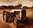 Farming_29