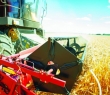 Farming_38