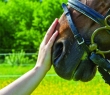 Farming_21