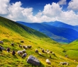 Farming_16