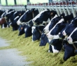 Farming_05