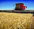 Farming_22