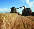 Farming_23
