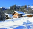 Christmas_56