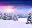 Christmas_54