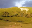 England_59 Westbury White Horse, Wiltshire