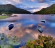 Ireland_59 Killarney National Park, Co. Kerry, Ireland