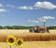 Farming_43