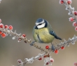 AW_54